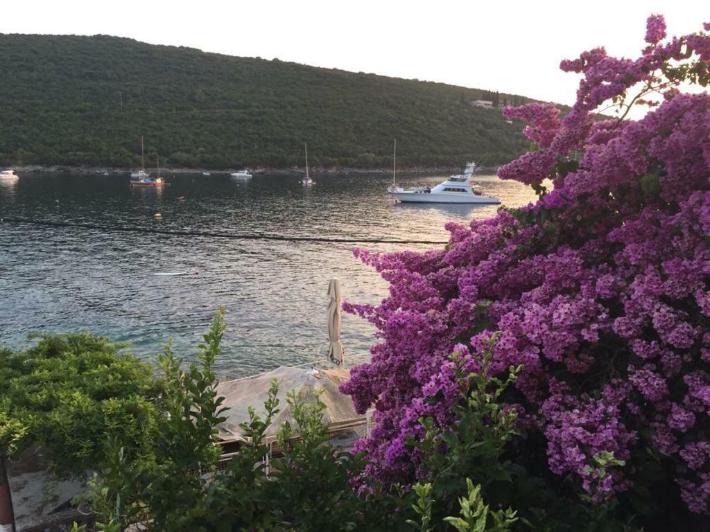 Appartamento Waterfront Townhouse Sunset View With Garage Bigovo Esterno foto